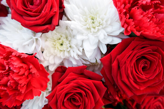 Close-up red and white bouquet of solemn festive flowers of fresh bright carnations, roses with asters heads. Concept of funeral and memorial event. Gift card, copy space, floral plant background.