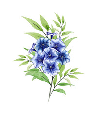 Branch with beautiful blue flowers. Watercolor illustration. For invitations, stationery design, postcards.