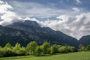 landscape in the summer in Trento