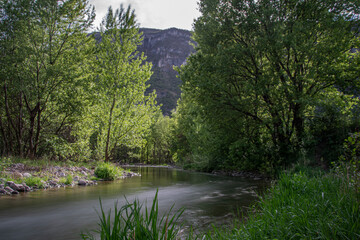 river in the woods in Trento