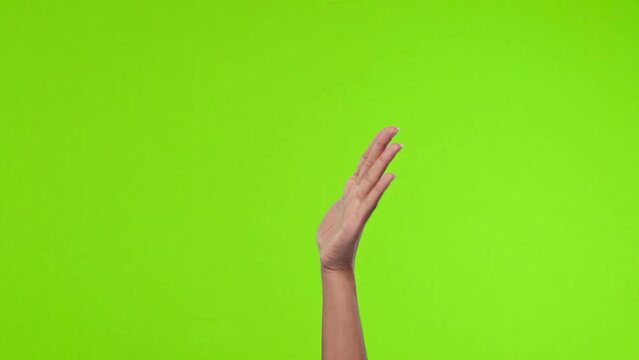 Woman palm of raised hand demonstrates various gestures makes monotonous rhythmic movements pointing way in different does hint in right direction located on chroma key studio background.