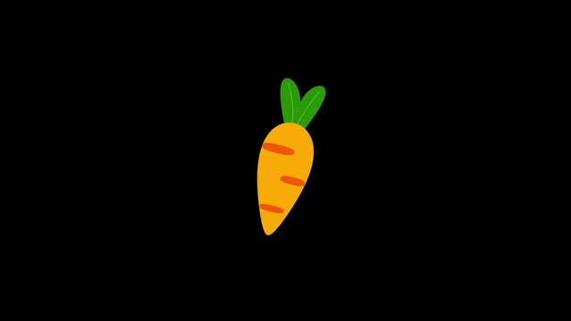 Color picture of carrot on a black background. fresh carrots. Cooking. Distortion liquid style transition icon for your project. 4K video animation for motion graphics and compositing.