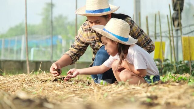 Two smiling little sisters lie prone on cardboard boxes sliding down the hill at the Botanical Gardens. The famous outdoor learning center of Mae Moh Mine Park, Lampang, Thailand. Happy childhood conc