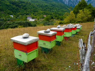 Beehives in Theth valley in Albania