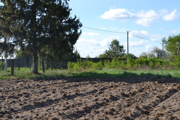 Obraz premium tractor in field