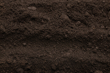 Black land for plant background. Top view.