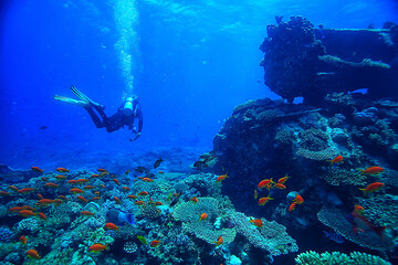 tropical sea underwater background diving ocean