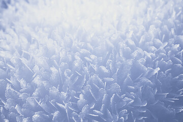 abstract winter background hoarfrost frost ice snow seasonal