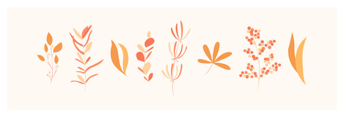 Set of leaves, flowers, plants. Floral wedding objects, botanical foliage. Elegant herbal spring illustration, vector