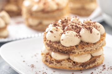 Tiramisu's Italian dessert in a white plate. Toned photo