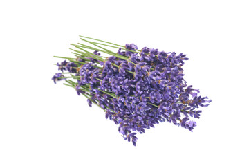 Lavender flowers isolated on white background.
