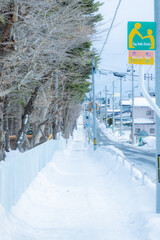 雪国の歩道