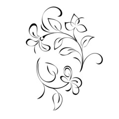 floral design with blooming flowers on stems with leaves and curls. graphic decor
