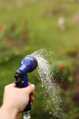 Gardener's hand holds a hose with a sprayer and watered the plants in the garden.
