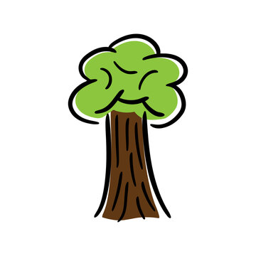 Cartoon tree. Oack tree. Vector illustration isolated on a white background.