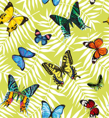 Fototapeta premium Seamless pattern with tropical butterflies. Vector illustration.