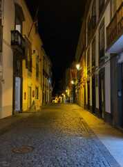 Fototapeta na wymiar Cobbled streets of Santa Cruz de la Palma (Canary Islands) by night