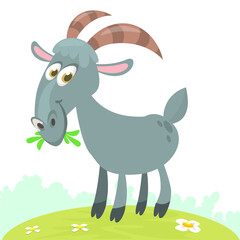 Vector illustration of cute goat character cartoon isolated