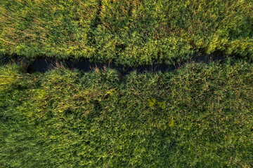 Drone top down view of meadow and small river through it
