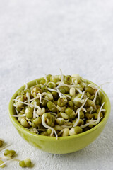 Mung bean sprouts in a bowl. Fresh green microgreens healthy spring food.
