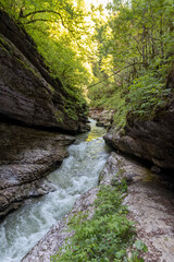 landscape with a mountain river among the forest. beautiful sunny morning in spring.