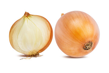 onion  isolated on white background