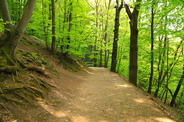 Hiking trail to Castle Eltz, Rhineland Palatinate - Germany