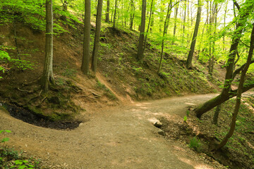 Hiking trail to Castle Eltz, Rhineland Palatinate - Germany