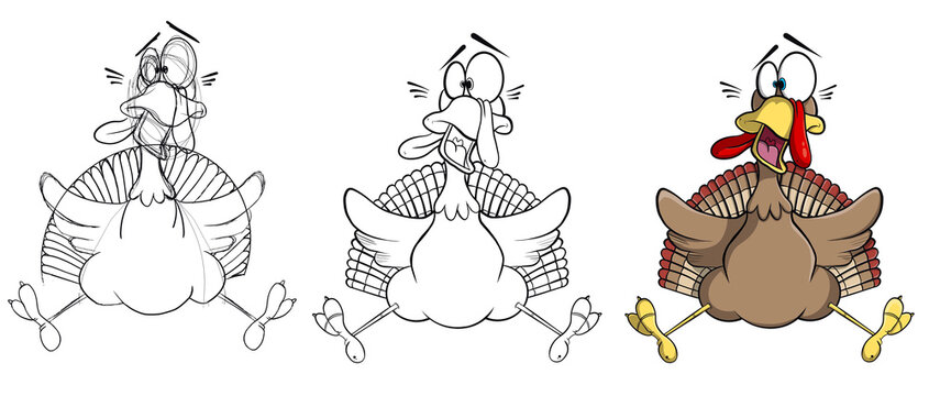 Character drawing stages. Sketching, coloring and lighting. Scared turkey. Cartoonized drawing. Cartoon character. Cute toy turkey. Digital drawing. Flat drawing concept.