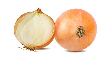 onion  isolated on white background