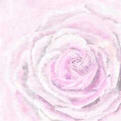 Watercolor illustration of a blooming pink rose.