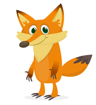  Cute cartoon  fox character. Vector illustration isolated
