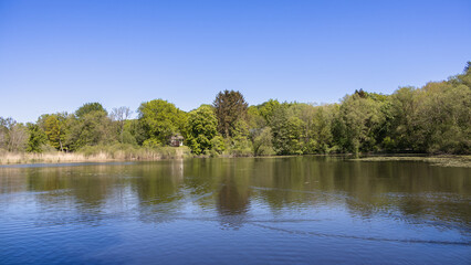 View over the mill pond in Trittau