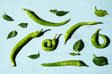 Fresh green chilli peppers with green leaves flat lay on blue background. Creative, minimal food...