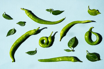 Fresh green chilli peppers with green leaves flat lay on blue background. Creative, minimal food layout.