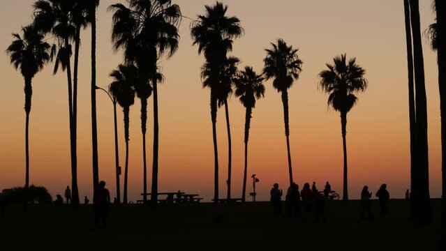 Orange sky, silhouettes of palm trees on beach at sunset, California coast, USA. Bicycle or bike in beachfront park at sundown in San Diego, Mission beach vacations resort on shore. People walking.