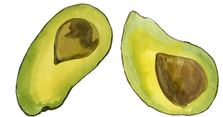 Cut Avocado Watercolor Painting Illustration
