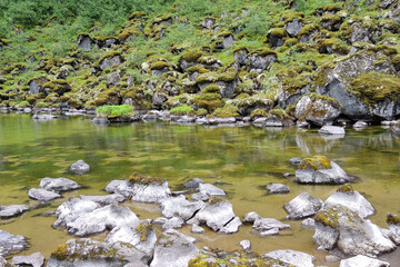 Lava rocks covered in green moss around a shallow pond in Iceland