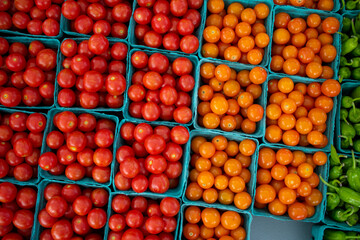 tomatoes in containers at the farmer's market