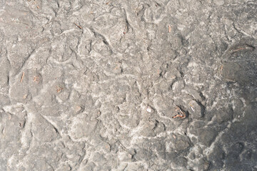texture of stone