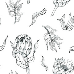 Pattern seamless with hand drawn protea flowers. Vector illustration.