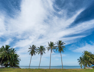 Naklejka na ściany i meble Beautiful tropical beach with palm trees. Coconut tree stretch into the sea
