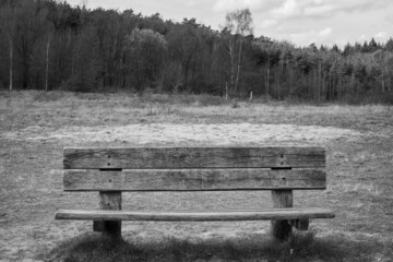 Lonely wooden bench on a field with a forest as background, executed in black and white.