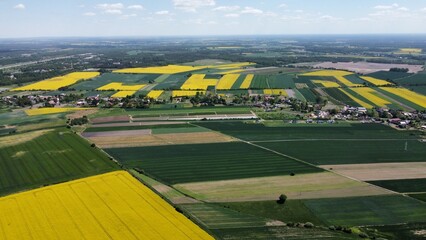 field © Marcin