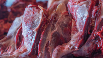 Butchered beaver carcasses. A hunting trophy. Bloody fresh beaver meat during butchering.