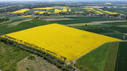 view of landscape rzepak, pola