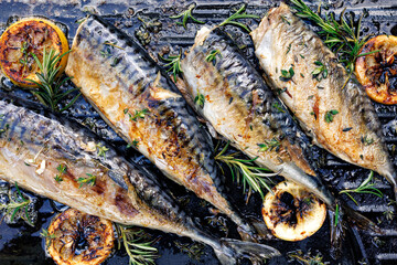 Grilled mackerel fish on a grill plate with herbs and lemon slices, top view