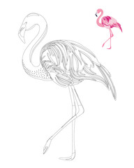 Flamingo coloring page. Anti stress coloring book for adults and children. With template.