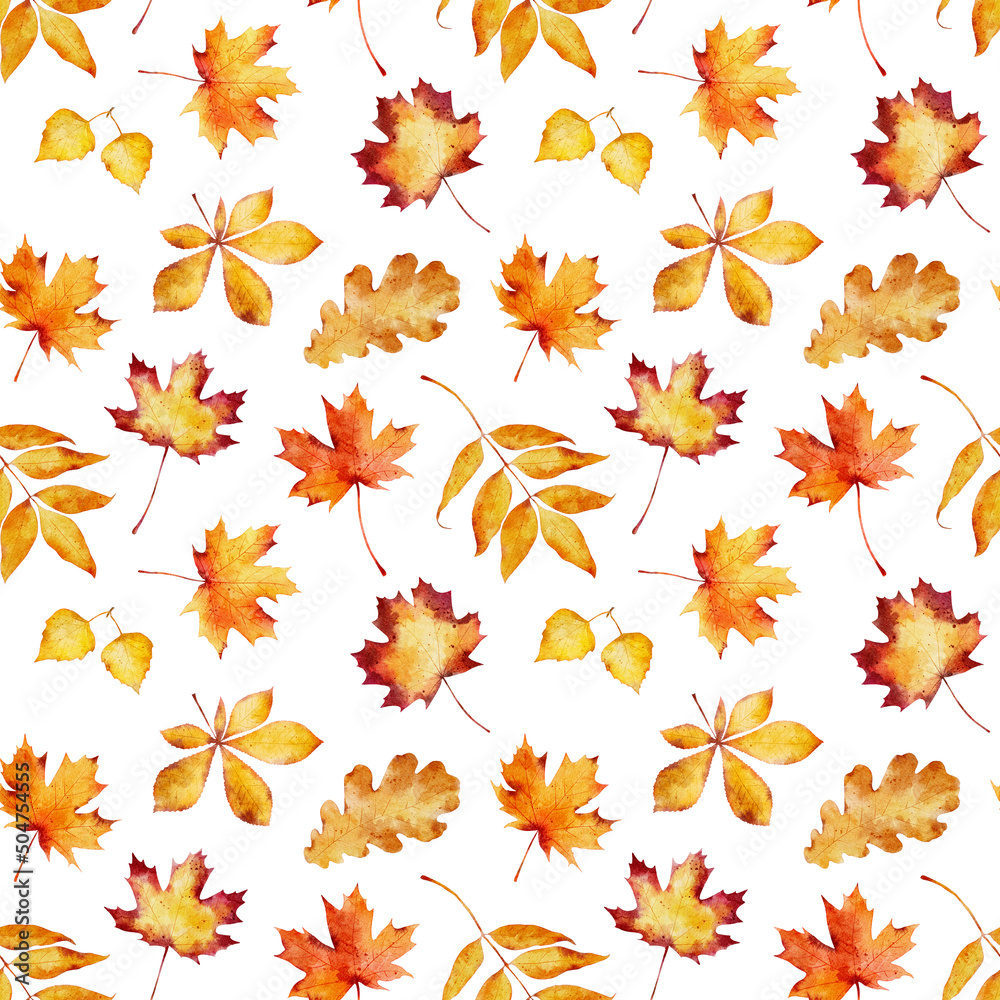 Wall mural seamless pattern with watercolor autumn leaves isolated on white background.