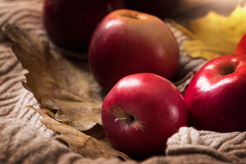 Fresh red apples scattering on textile surface